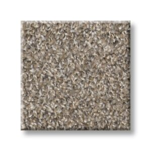Nutria 00102 | Cape Canaveral Accent