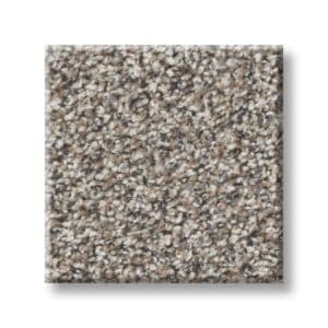 Mushroom 00111 | Cape Canaveral Accent