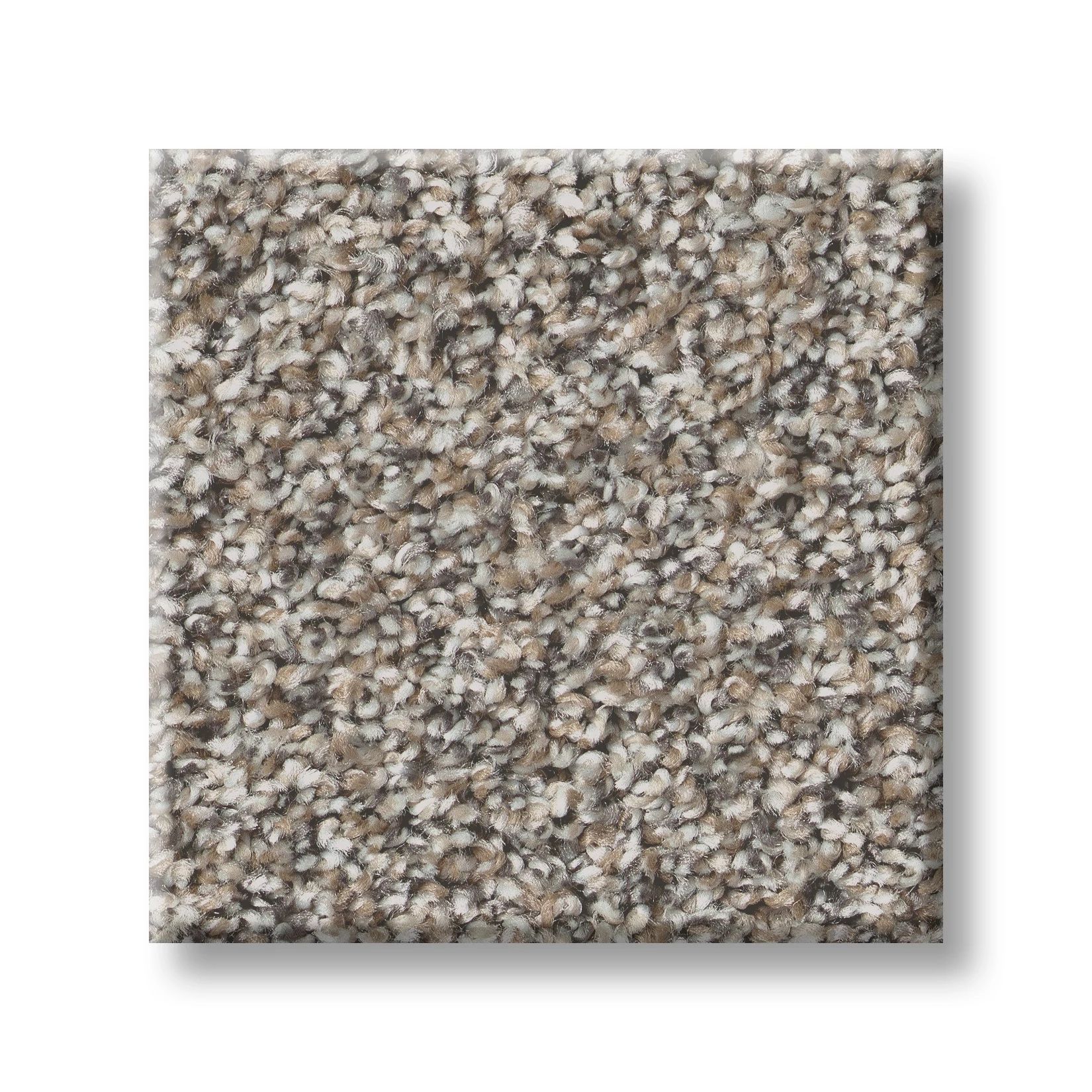 Mushroom 00111 | Cape Canaveral Accent