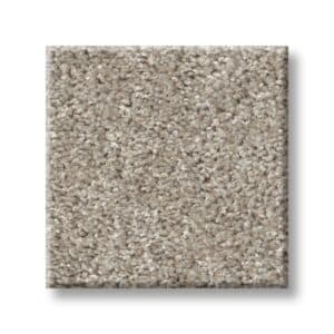 Fossil 00121 | Cape Canaveral Tweed