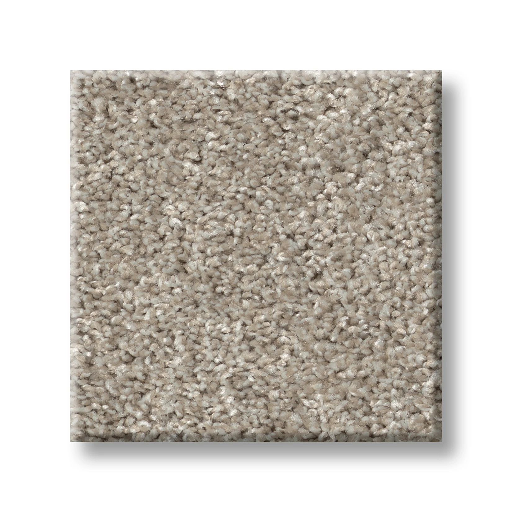 Fossil 00121 | Cape Canaveral Tweed