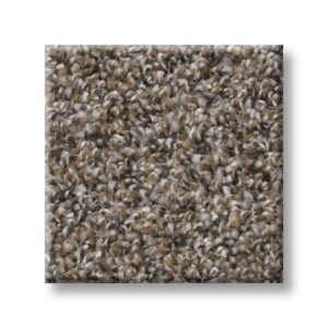 Tree Bark 00706 | Cape Canaveral Accent