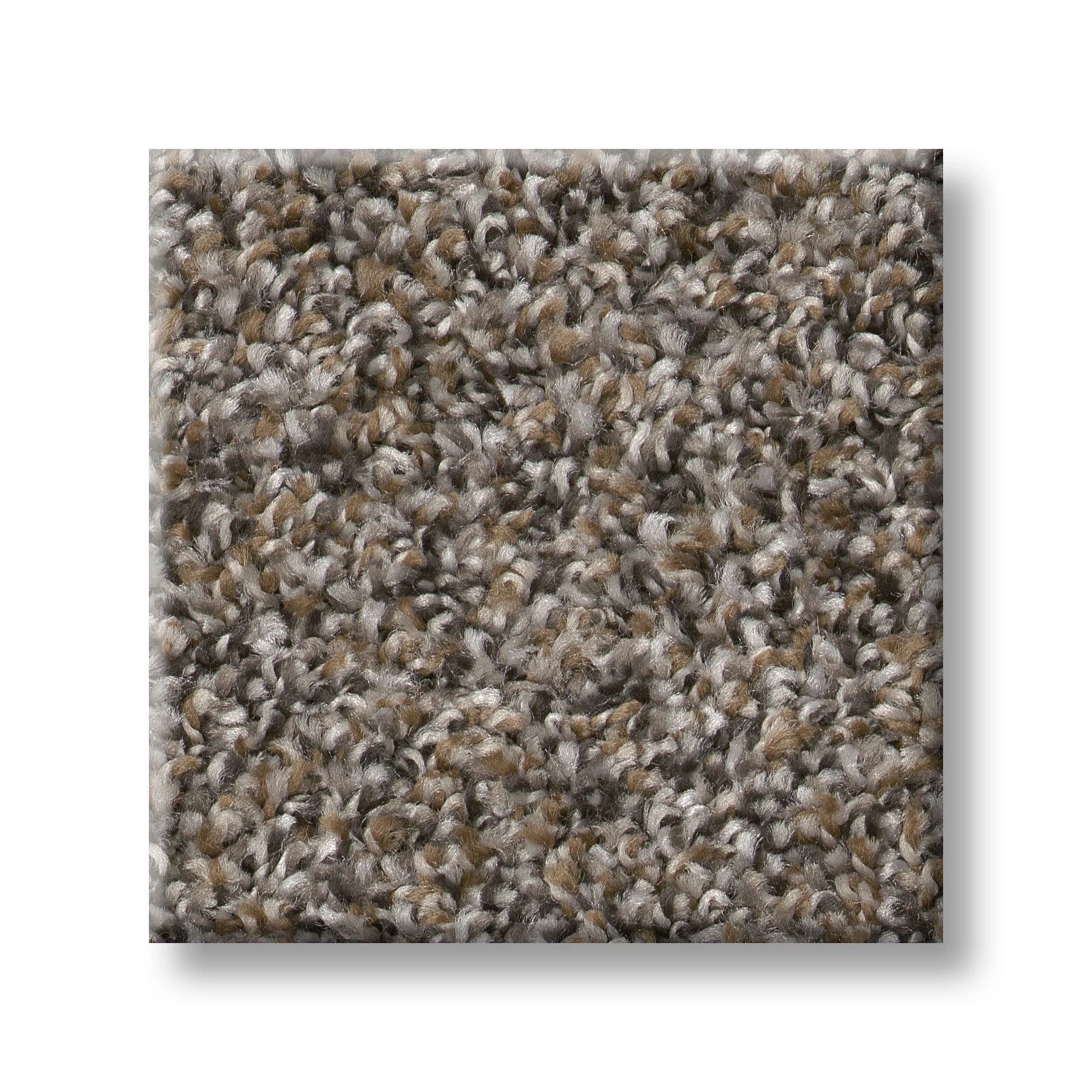 Tree Bark 00706 | Cape Canaveral Accent