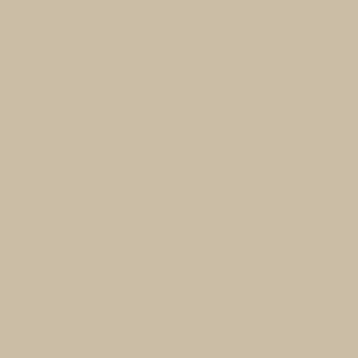Downing Sand | Exterior Door Paint