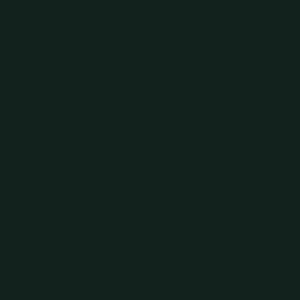 Black Emerald | Exterior Door Paint
