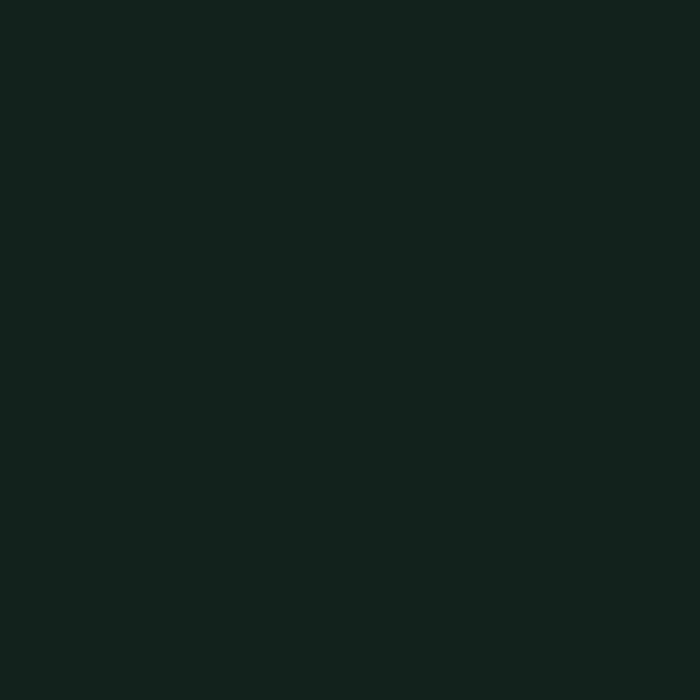 Black Emerald | Exterior Door Paint