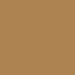 Chamois | Exterior Door Paint