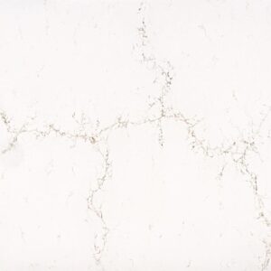 Misterio Gold BQ8820 | Vicostone (Previously Myora Gold)
