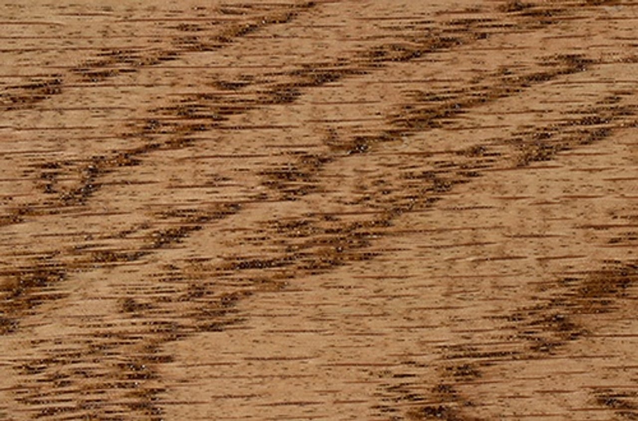Special Walnut | Minwax