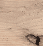 Distressed Knotty Alder | Fireplace