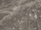 Blue Tundra Marble | Fireplace