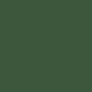Evergreen | Complements Paint