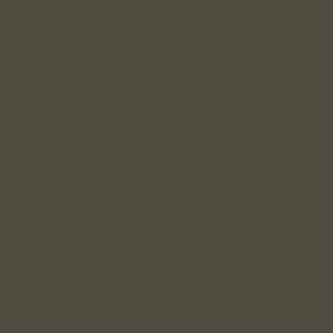 Juniper | Complements Paint