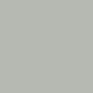 Palmetto | Completement Paint